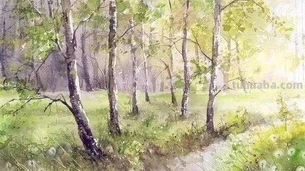 洒满阳光的小树林｜自然系赏心悦目风景水彩画