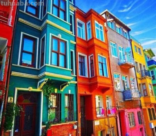 色彩牛奶盒：让你的生活更加缤纷多彩 