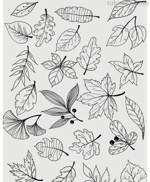 简笔画树叶怎么画 如何画叶子？