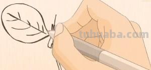 简笔画树叶怎么画 如何画叶子？