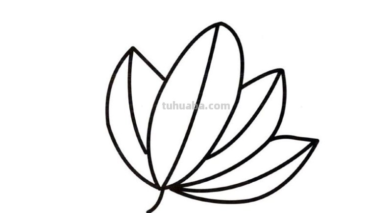 简笔画树叶怎么画 如何画叶子？