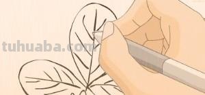 简笔画树叶怎么画 如何画叶子？