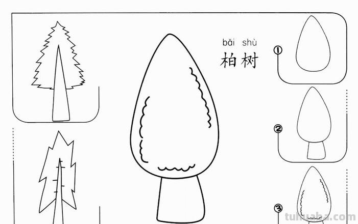 柏树怎么画简笔画 树木简笔画的几种常见画法？
