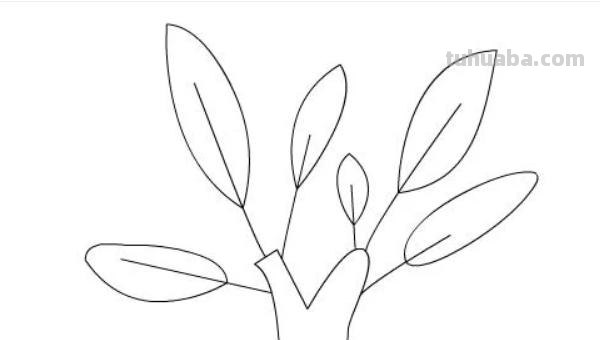 柏树怎么画简笔画 树木简笔画的几种常见画法？