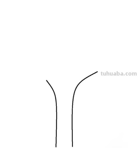 柏树怎么画简笔画 树木简笔画的几种常见画法？