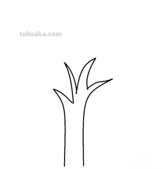 柏树怎么画简笔画 树木简笔画的几种常见画法？