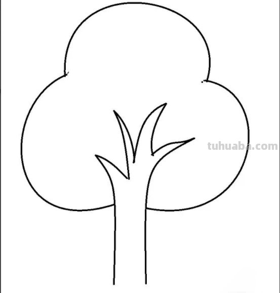 柏树怎么画简笔画 树木简笔画的几种常见画法？