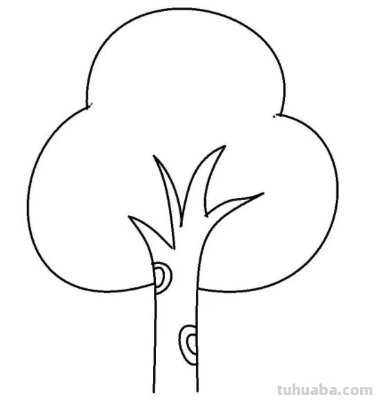 柏树怎么画简笔画 树木简笔画的几种常见画法？