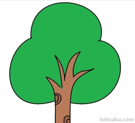 柏树怎么画简笔画 树木简笔画的几种常见画法？