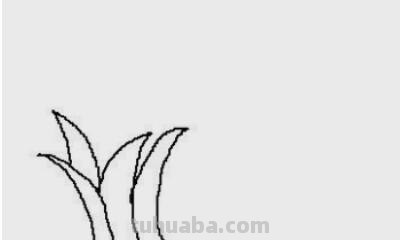 柏树怎么画简笔画 树木简笔画的几种常见画法？