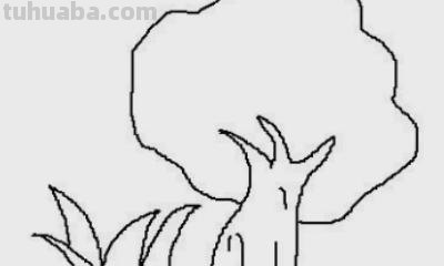 柏树怎么画简笔画 树木简笔画的几种常见画法？