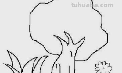 柏树怎么画简笔画 树木简笔画的几种常见画法？