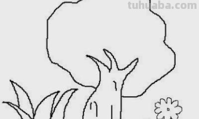 柏树怎么画简笔画 树木简笔画的几种常见画法？