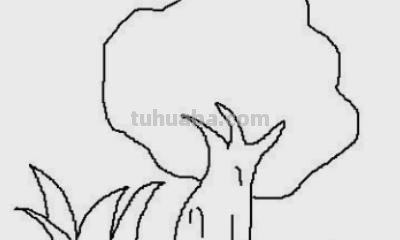 柏树怎么画简笔画 树木简笔画的几种常见画法？