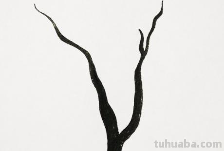 柏树怎么画简笔画 树木简笔画的几种常见画法？