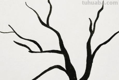 柏树怎么画简笔画 树木简笔画的几种常见画法？