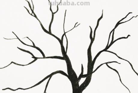 柏树怎么画简笔画 树木简笔画的几种常见画法？