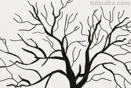 柏树怎么画简笔画 树木简笔画的几种常见画法？