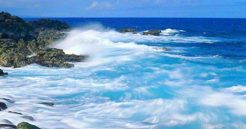 每朵浪花一样澎湃，每种色彩都应该盛开 