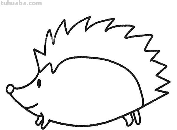 刺猬简笔画 刺猬简笔画图片