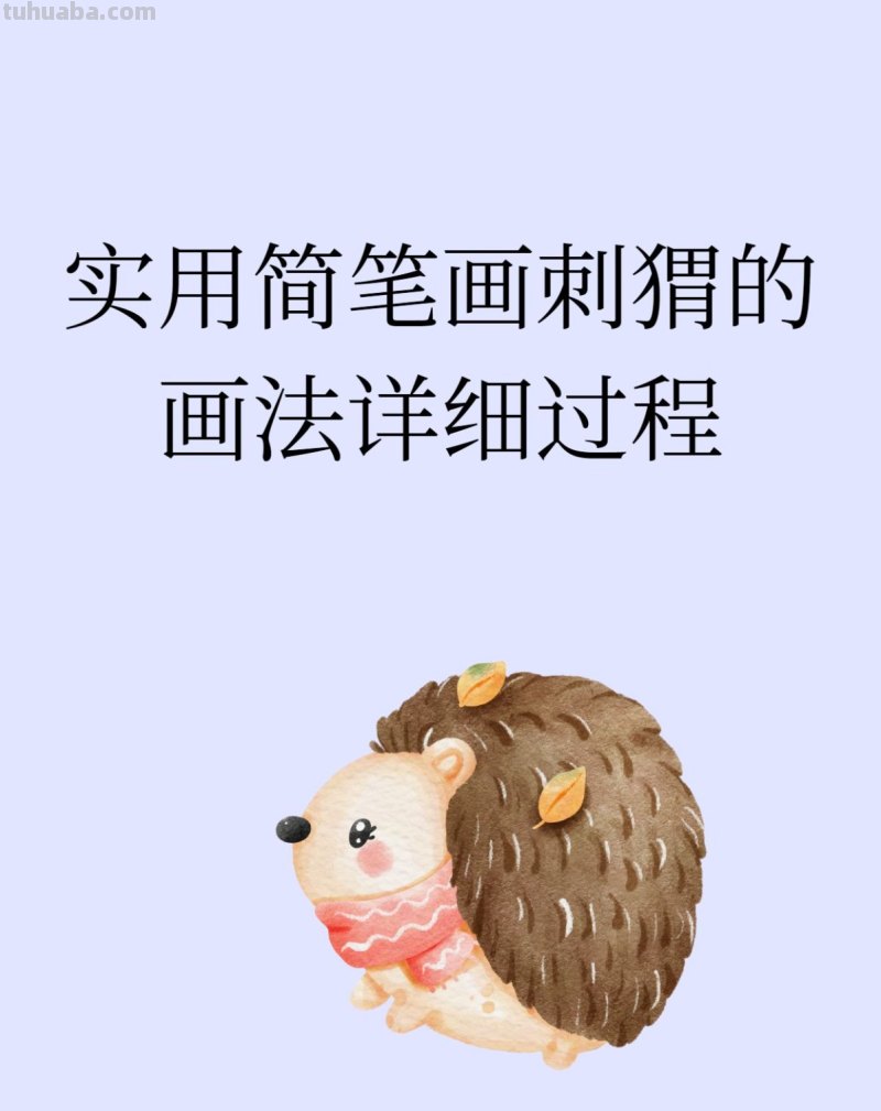 实用简笔画刺猬的画法详细过程