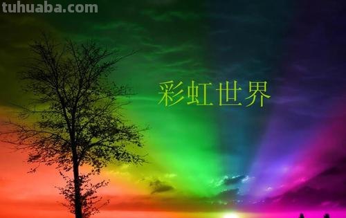 缤纷绚丽的色彩世界 