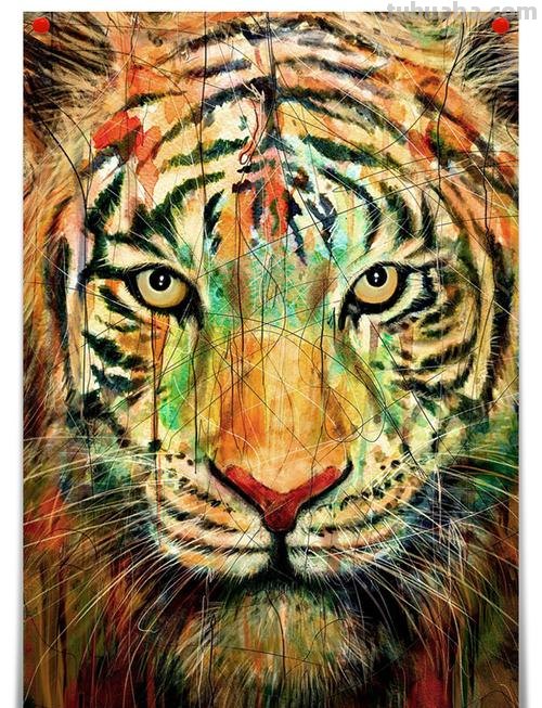 探秘色彩老虎及色彩老虎的画 