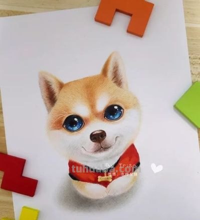 彩铅狗怎么画的 2023春节兔年绘画步骤？