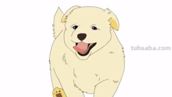 彩铅狗怎么画的 2023春节兔年绘画步骤？