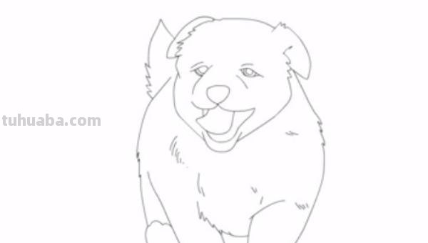 彩铅狗怎么画的 2023春节兔年绘画步骤？