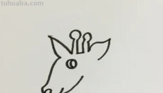 画长颈鹿的步骤 画长颈鹿的步骤图
