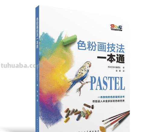 从色彩基础到高级技巧，色彩画教学视频教程让你轻松掌握涂画技巧 