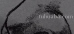 速写鼻子眼 画人物速写的时候·如何画好五官？