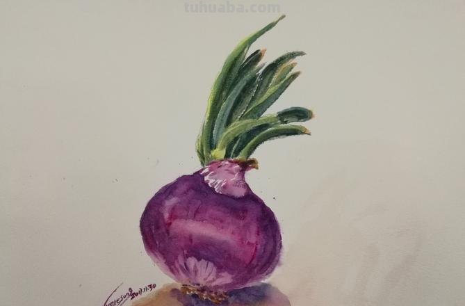 洋葱色彩及洋葱色彩画法:如何运用洋葱色彩打造出绚烂的绘画作品?