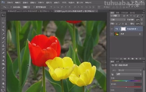 【教你如何快速调整PS调色彩及饱和度】-涂画吧小编了解到