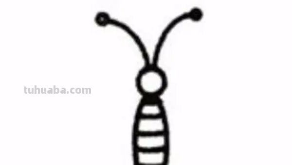 蝴蝶的简笔画怎么画