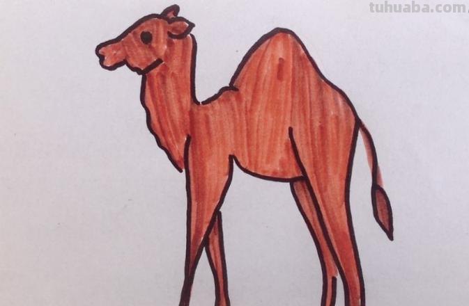骆驼怎么画简笔画 一只骆驼一张嘴两只耳朵四条腿?