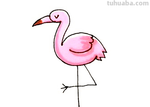 儿童简笔画精选「鸟」-火烈鸟（Flamingo）的绘画步骤