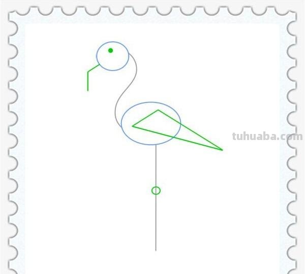 儿童简笔画精选「鸟」-火烈鸟（Flamingo）的绘画步骤