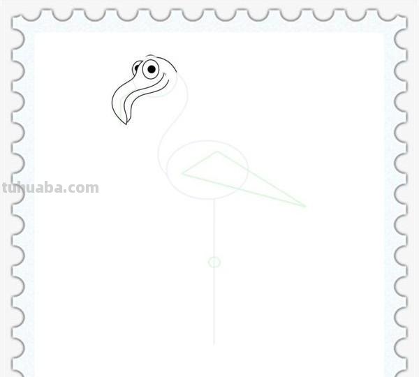 儿童简笔画精选「鸟」-火烈鸟（Flamingo）的绘画步骤