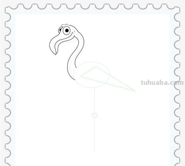 儿童简笔画精选「鸟」-火烈鸟（Flamingo）的绘画步骤