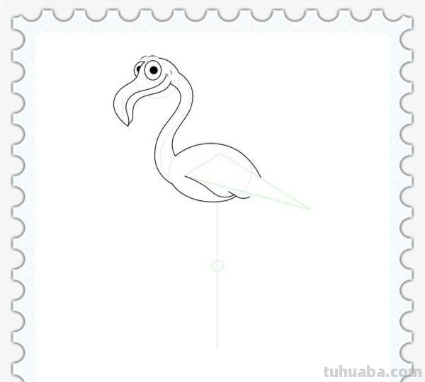 儿童简笔画精选「鸟」-火烈鸟（Flamingo）的绘画步骤