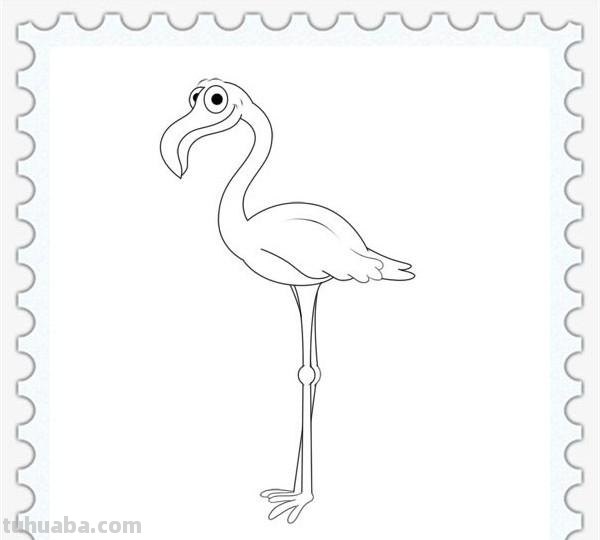儿童简笔画精选「鸟」-火烈鸟（Flamingo）的绘画步骤