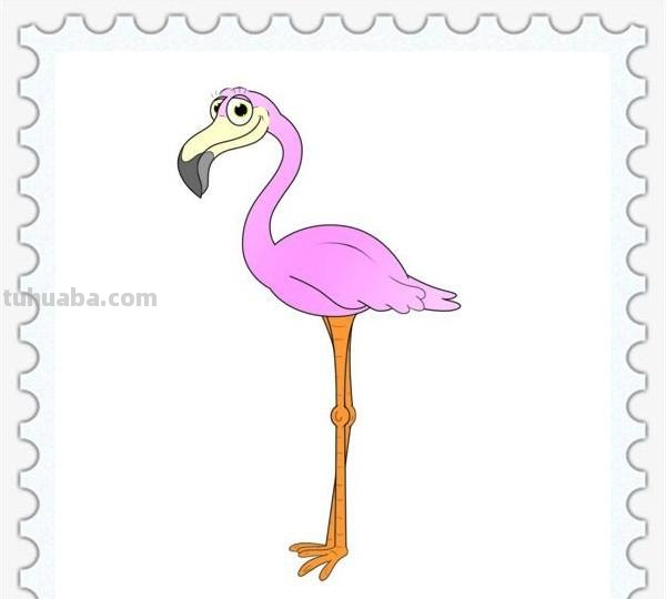 儿童简笔画精选「鸟」-火烈鸟（Flamingo）的绘画步骤