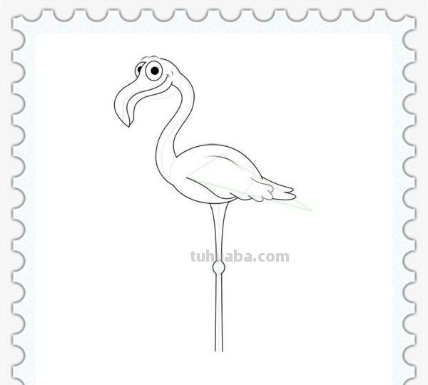 儿童简笔画精选「鸟」-火烈鸟（Flamingo）的绘画步骤