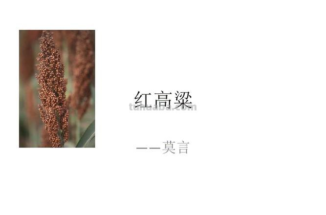 红高粱色彩分析：从中国文化中探究红高粱色彩的内涵 