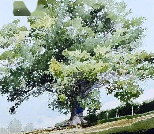 树风景色彩及树风景色彩画：用色彩给大自然的树木生命注入灵魂 