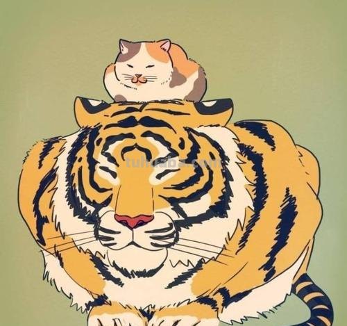 把猫咪放大到和老虎一样大，它还能打的过老虎吗？