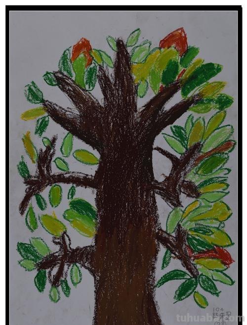 大树色彩及大树色彩画:探究大树色彩的魅力