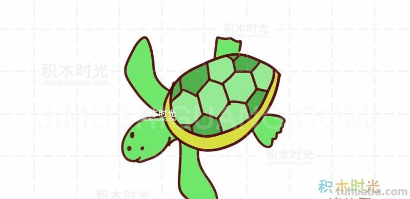 乌龟简笔画教程，画乌龟简笔画